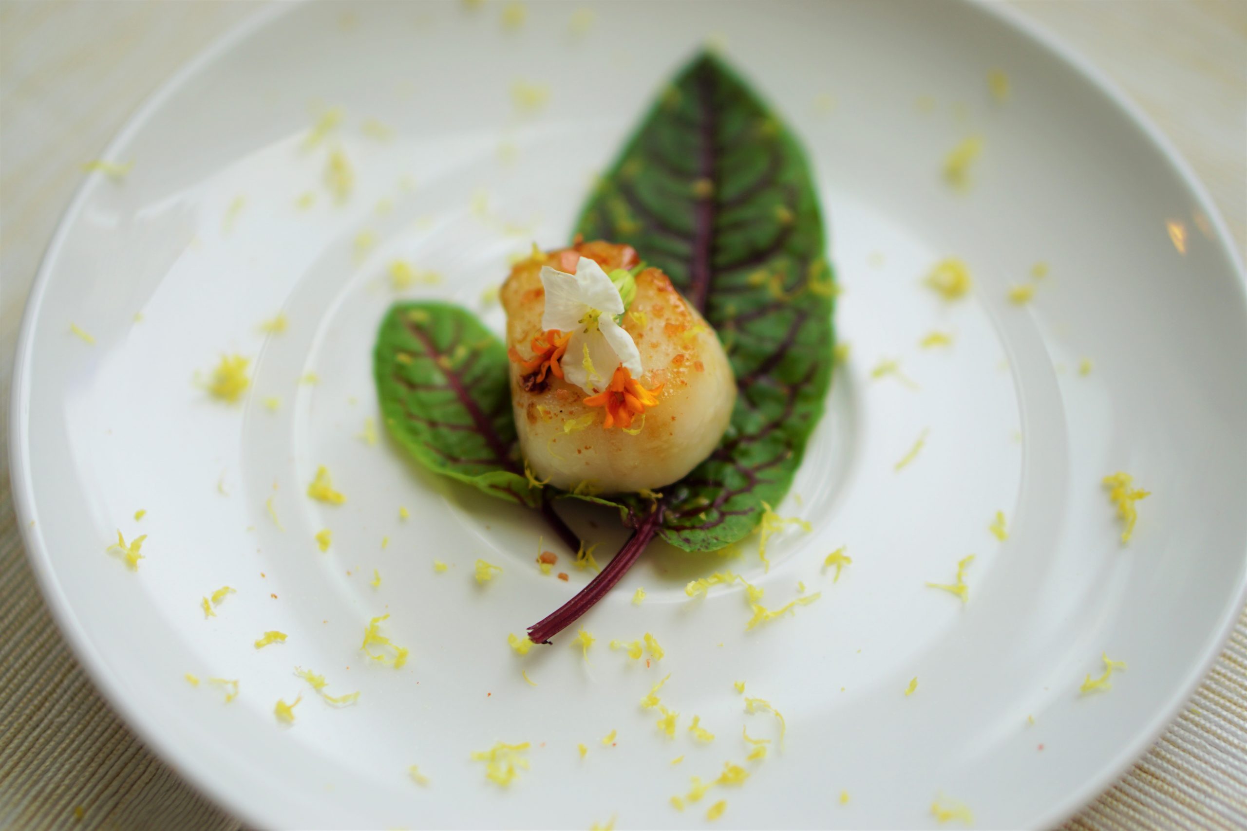 Pecten Maximus scallops presentation