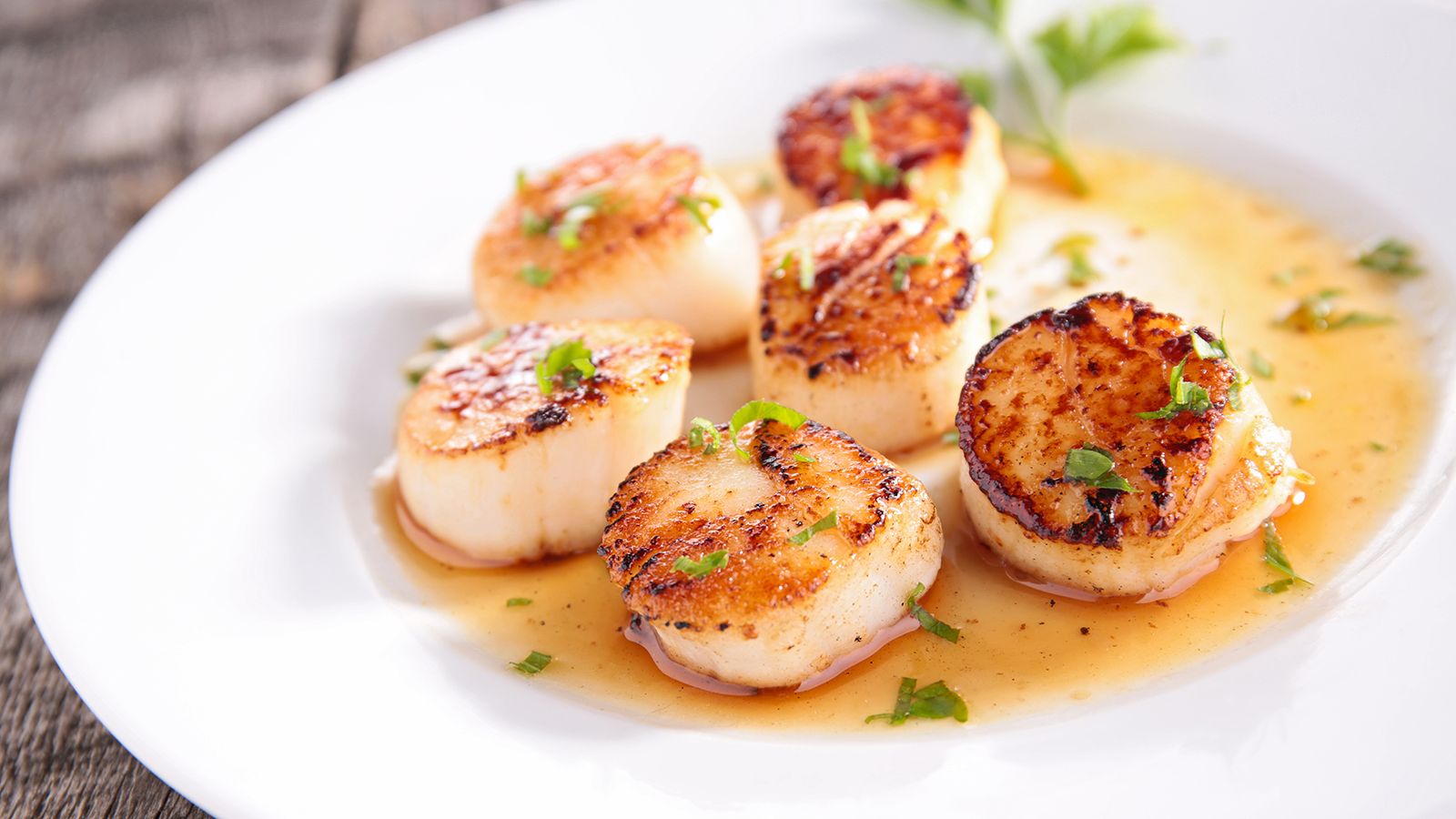 Fresh Placopecten Magellanicus scallops