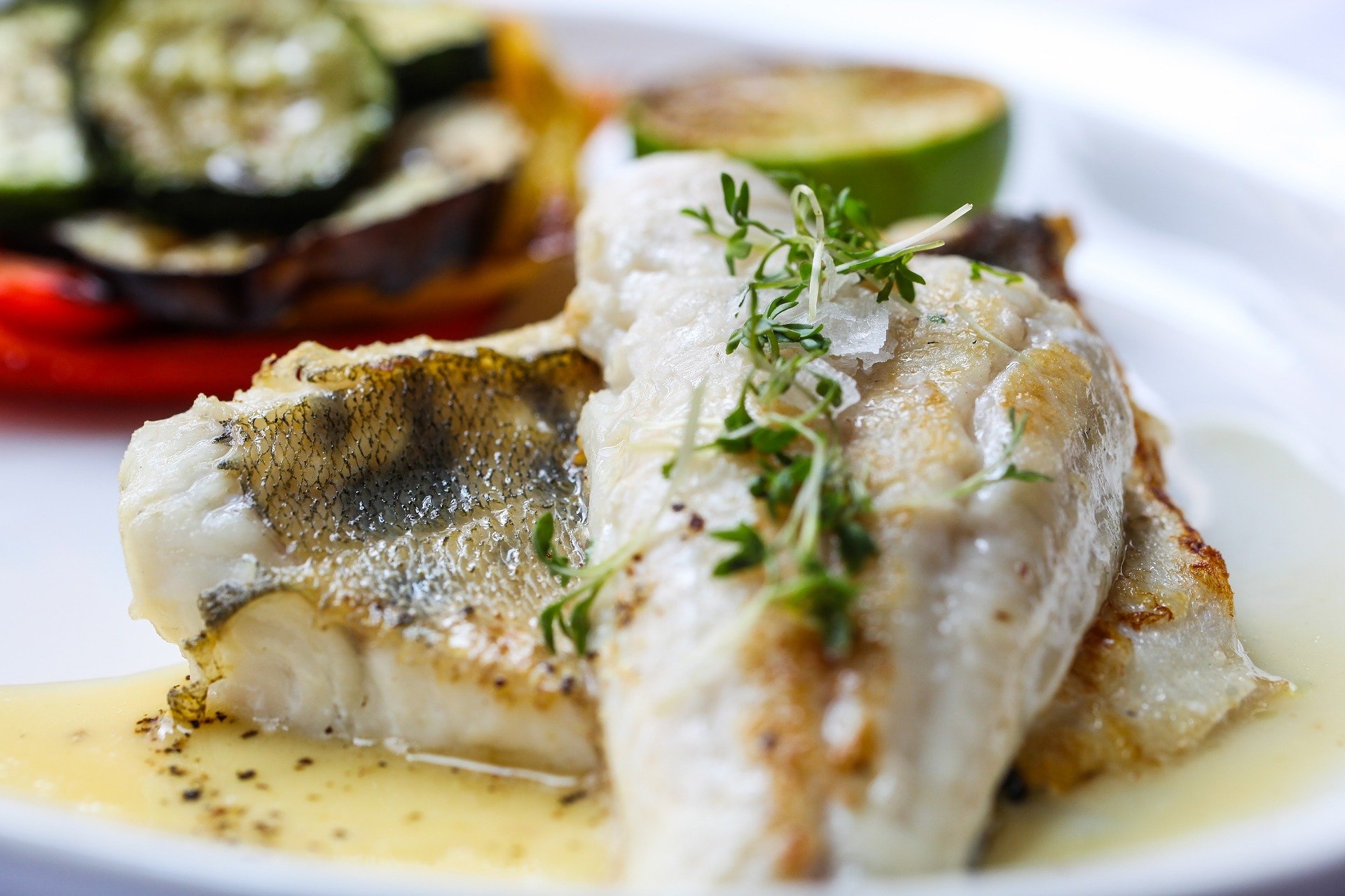 Plated pike-perch fillet
