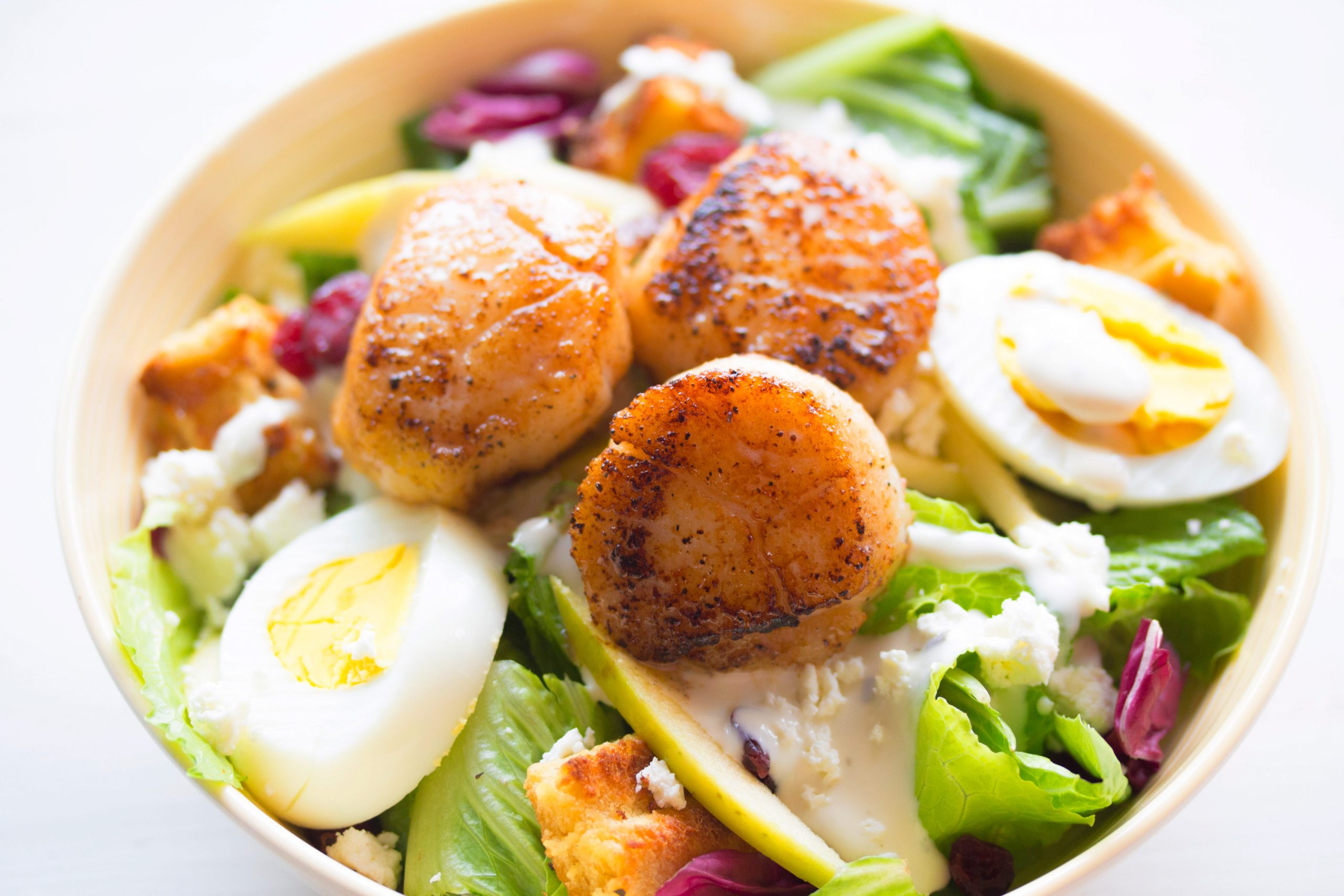 Cooked scallops served in a bowl
